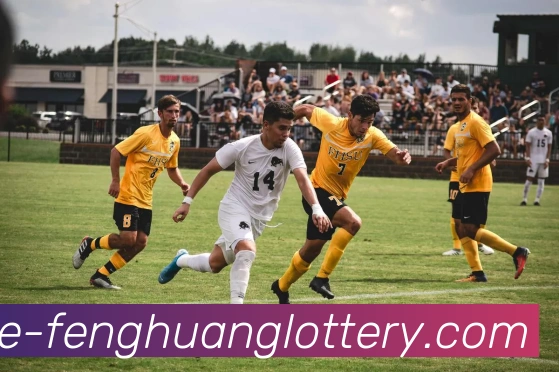 凤凰彩票官方网站平台生态图